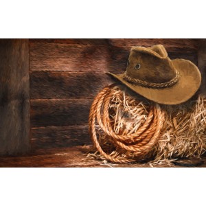 Set for Stampede?