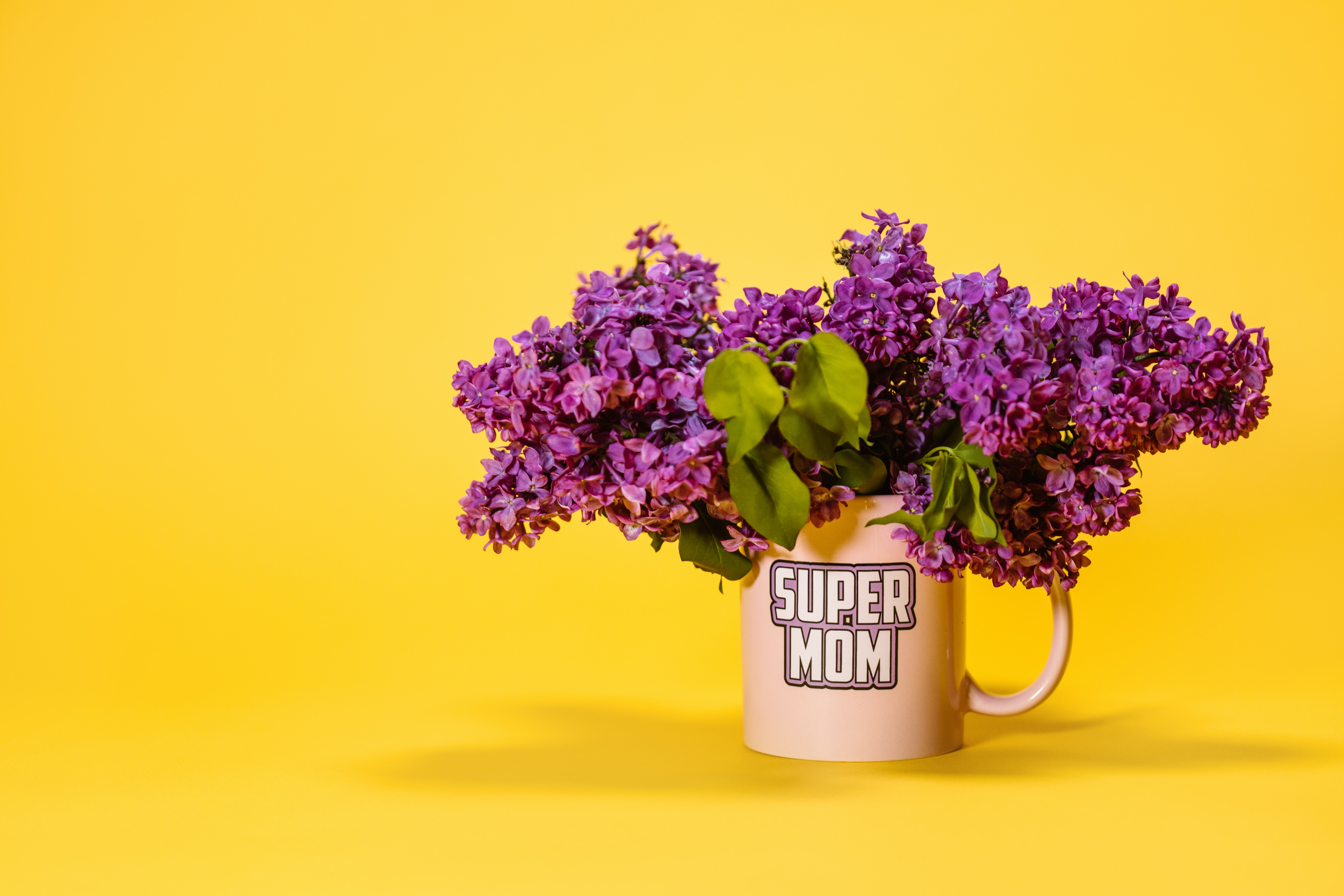 Salute to the Mothers Who Do It All