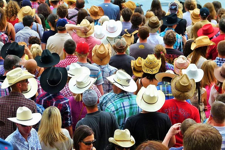 It's Stampede Season! Let's go!